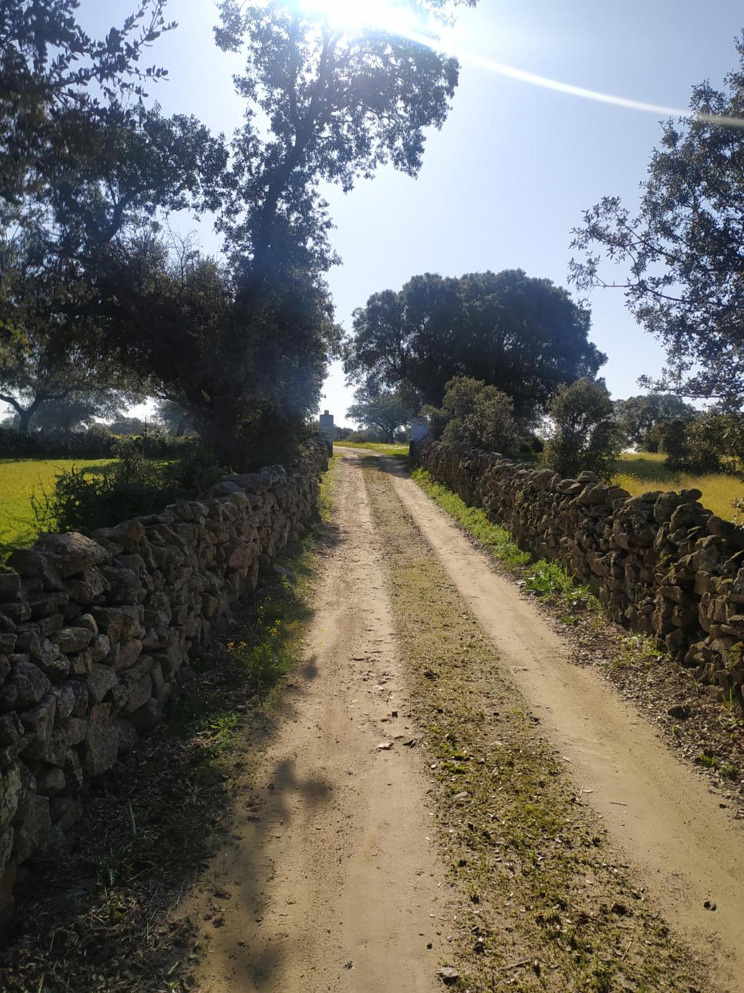Finca Las Gamitas Almoharin Екстериор снимка